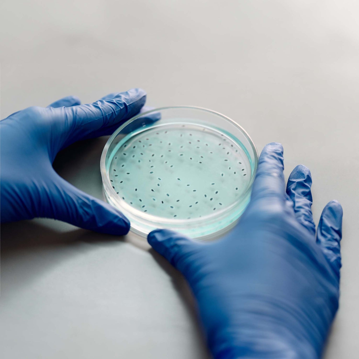 What is a colony-forming unit?