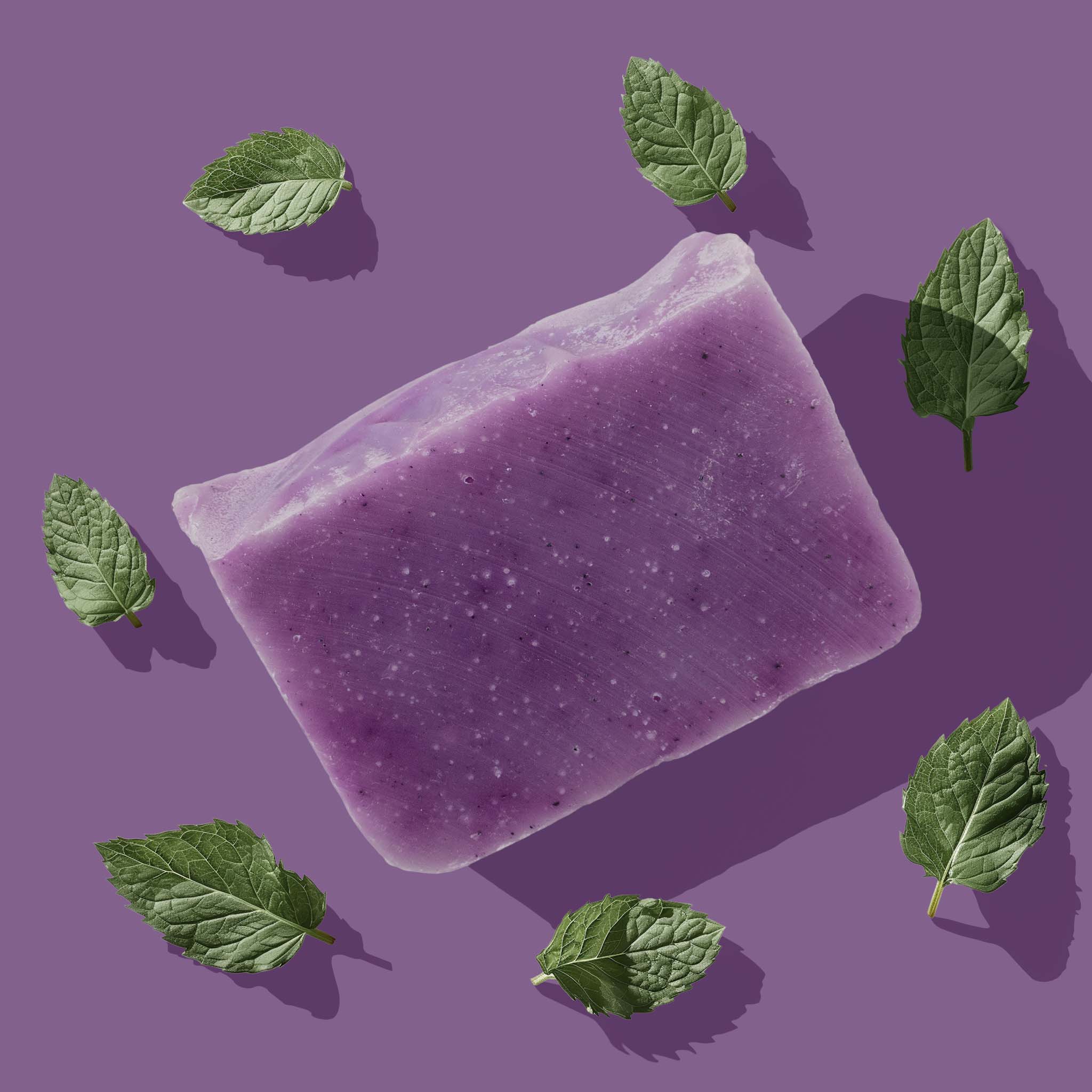 Radiant Shampoo Bar - Peppermint + Rosemary