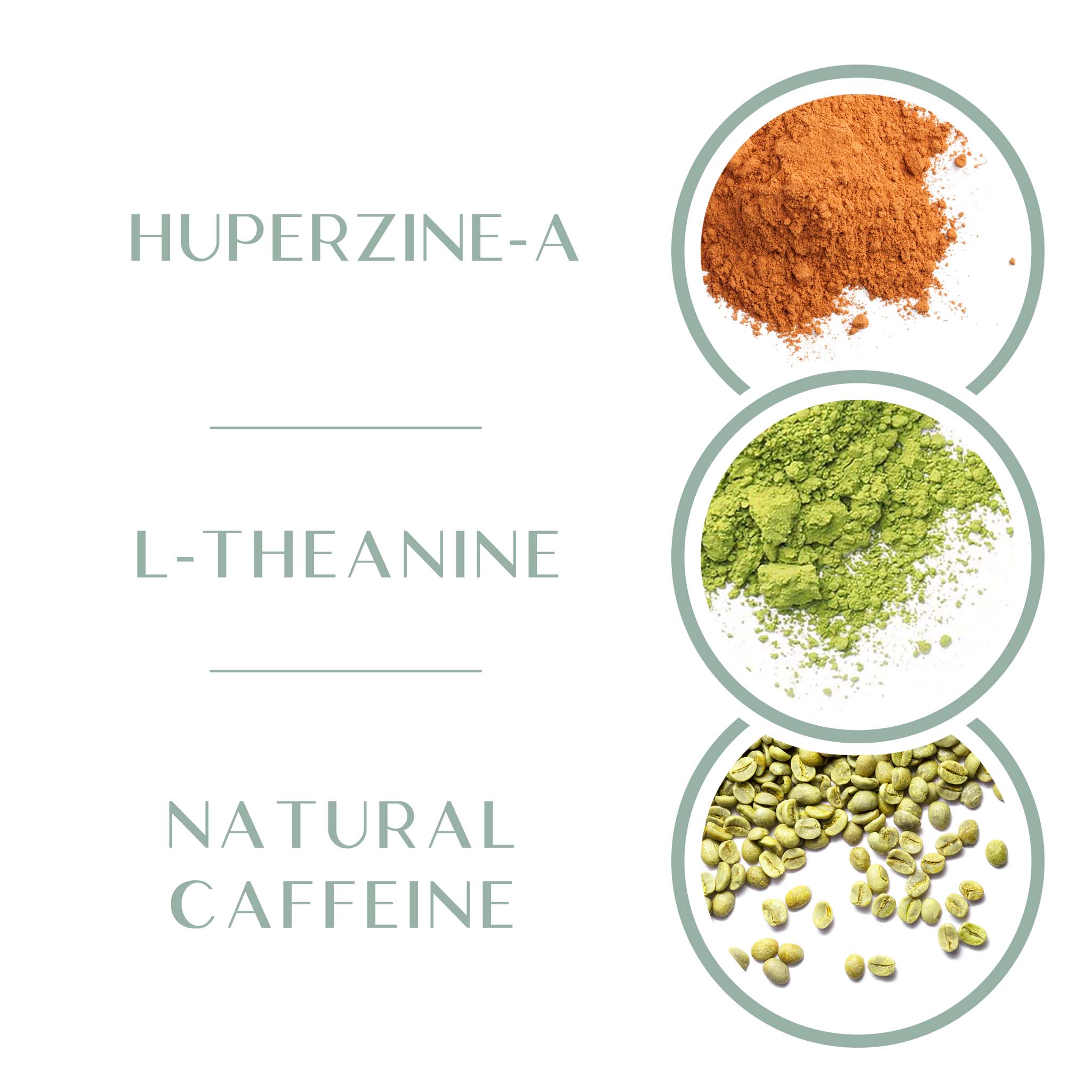 Energy + Focus - 60 Capsules
