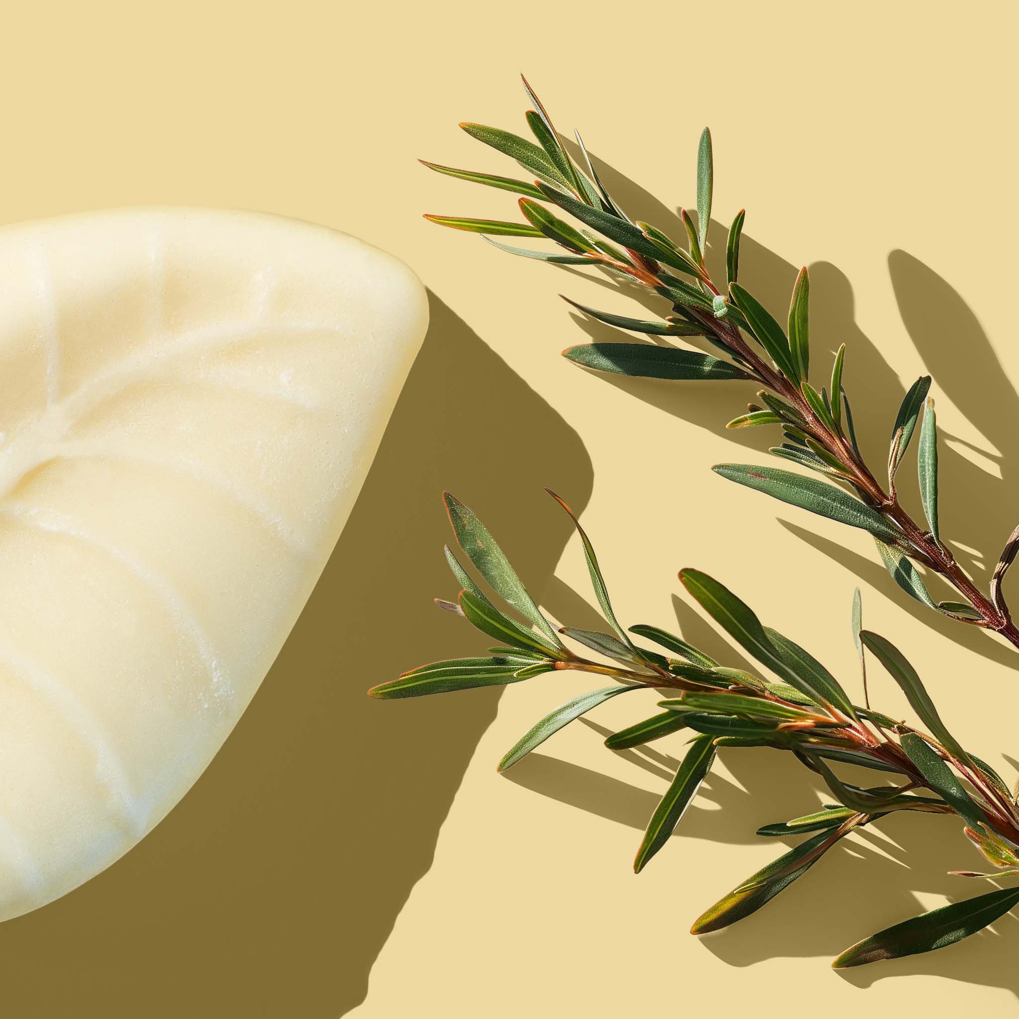Shimmer Conditioner Bar - Tea Tree + Peppermint