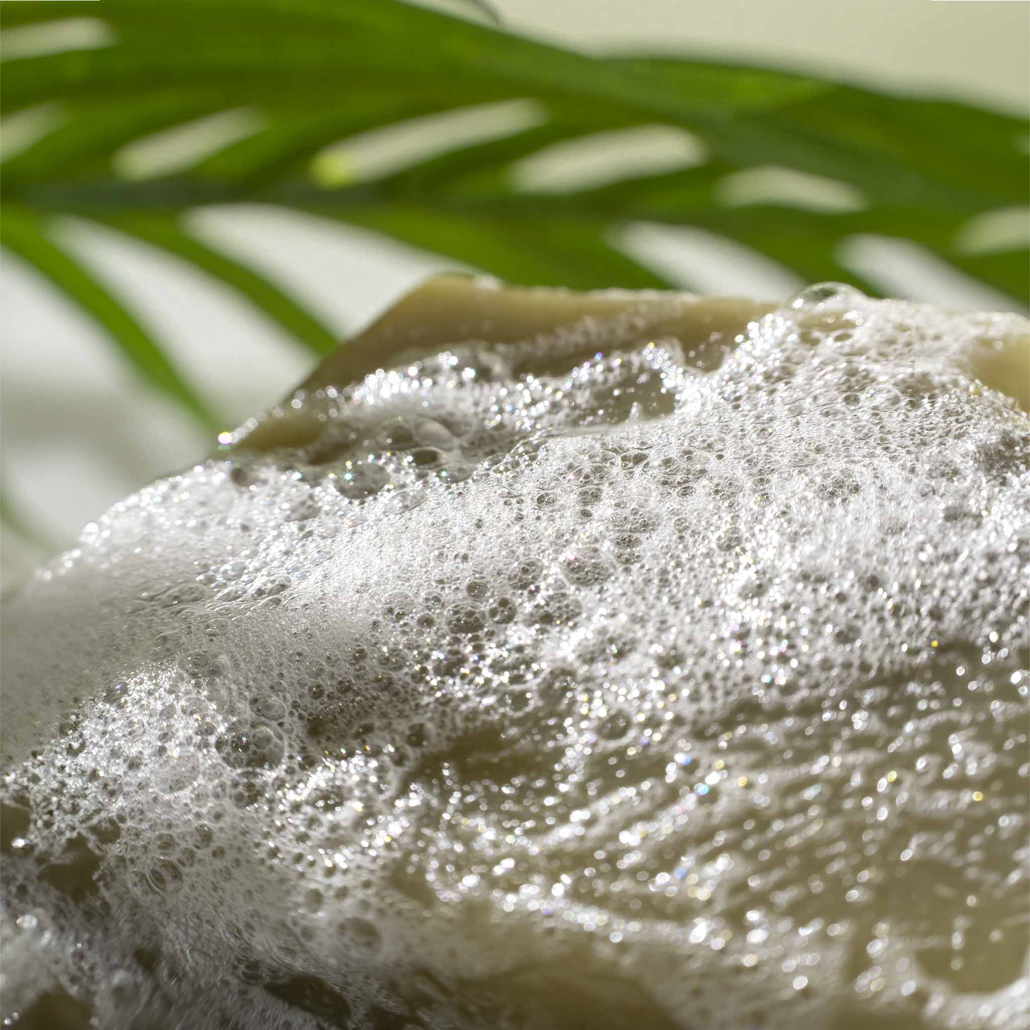 Radiant Shampoo Bar - Tea Tree + Peppermint